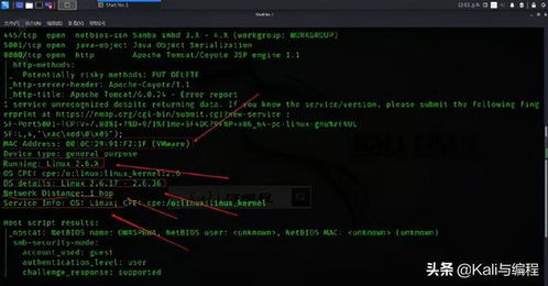 網絡安全工程師演示 白帽黑客如何用nmap探測計算機操作系統類型